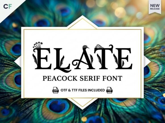 Elate: A Display Font That Commands Quiet Confidence